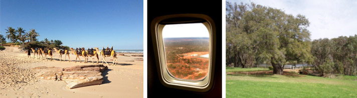 coast - desert - forest